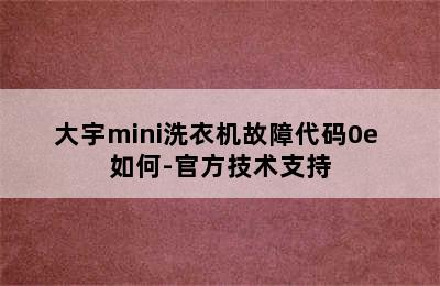 大宇mini洗衣机故障代码0e 如何-官方技术支持